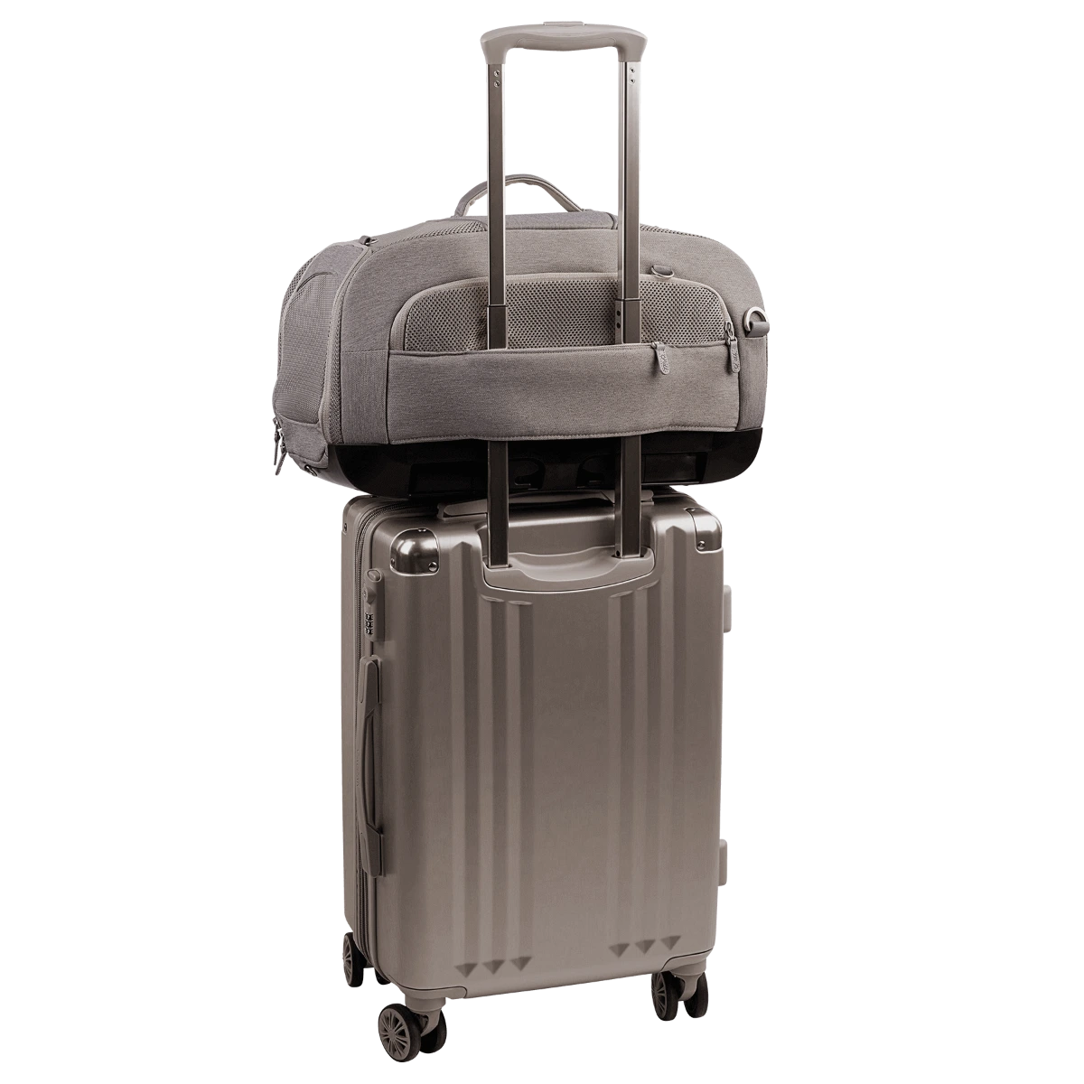 TAVO Dupree II Merle - Airline Carry-On og Autostol til Hunde og Katte
